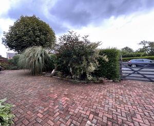 Photo 25- click for photo gallery